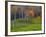 Rural Landscape, East Arlington, Vermont, USA-Joe Restuccia III-Framed Photographic Print