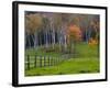 Rural Landscape, East Arlington, Vermont, USA-Joe Restuccia III-Framed Photographic Print