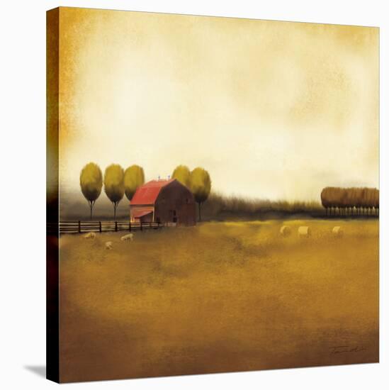 Rural Landscape II-Tandi Venter-Stretched Canvas