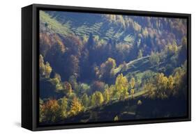 Rural Landscape in Autumn, Piatra Craiului Np, Transylvania, Southern Carpathian Mountains, Romania-Dörr-Framed Stretched Canvas