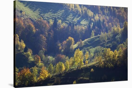 Rural Landscape in Autumn, Piatra Craiului Np, Transylvania, Southern Carpathian Mountains, Romania-Dörr-Stretched Canvas