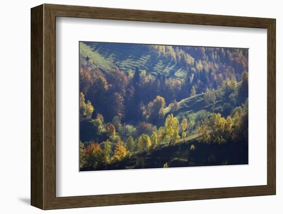 Rural Landscape in Autumn, Piatra Craiului Np, Transylvania, Southern Carpathian Mountains, Romania-Dörr-Framed Photographic Print