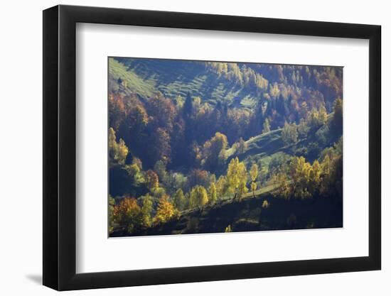 Rural Landscape in Autumn, Piatra Craiului Np, Transylvania, Southern Carpathian Mountains, Romania-Dörr-Framed Photographic Print