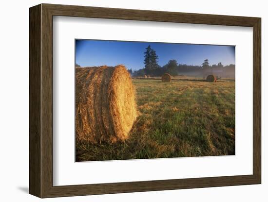 Rural Landscape, San Juan Island, San Juan Islands, Washington State, USA-Colin Brynn-Framed Photographic Print