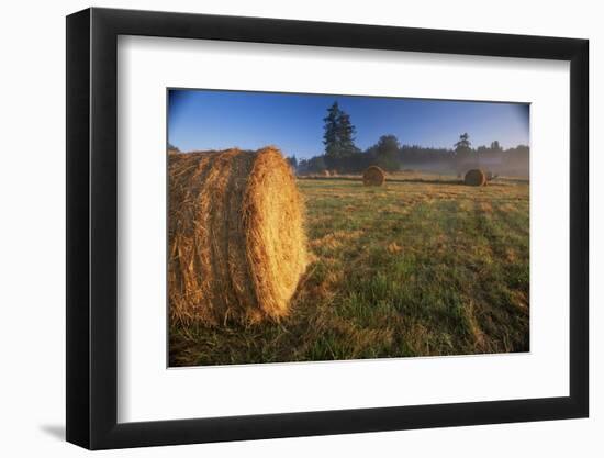 Rural Landscape, San Juan Island, San Juan Islands, Washington State, USA-Colin Brynn-Framed Photographic Print