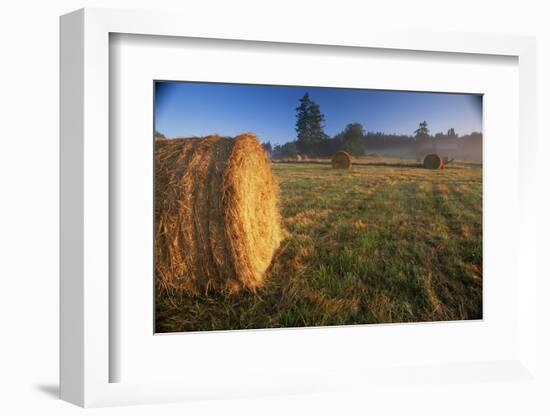 Rural Landscape, San Juan Island, San Juan Islands, Washington State, USA-Colin Brynn-Framed Photographic Print