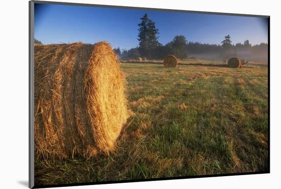 Rural Landscape, San Juan Island, San Juan Islands, Washington State, USA-Colin Brynn-Mounted Photographic Print