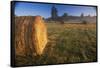 Rural Landscape, San Juan Island, San Juan Islands, Washington State, USA-Colin Brynn-Framed Stretched Canvas