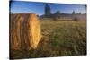 Rural Landscape, San Juan Island, San Juan Islands, Washington State, USA-Colin Brynn-Stretched Canvas