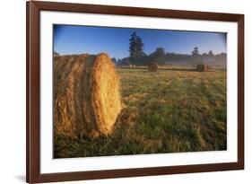 Rural Landscape, San Juan Island, San Juan Islands, Washington State, USA-Colin Brynn-Framed Photographic Print