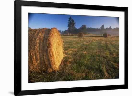 Rural Landscape, San Juan Island, San Juan Islands, Washington State, USA-Colin Brynn-Framed Photographic Print