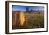 Rural Landscape, San Juan Island, San Juan Islands, Washington State, USA-Colin Brynn-Framed Photographic Print