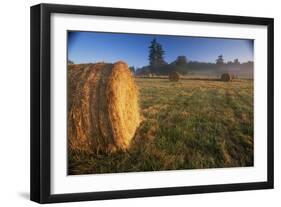 Rural Landscape, San Juan Island, San Juan Islands, Washington State, USA-Colin Brynn-Framed Photographic Print