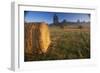 Rural Landscape, San Juan Island, San Juan Islands, Washington State, USA-Colin Brynn-Framed Photographic Print