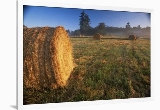 Rural Landscape, San Juan Island, San Juan Islands, Washington State, USA-Colin Brynn-Framed Photographic Print
