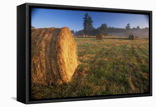 Rural Landscape, San Juan Island, San Juan Islands, Washington State, USA-Colin Brynn-Framed Stretched Canvas