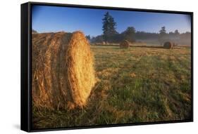 Rural Landscape, San Juan Island, San Juan Islands, Washington State, USA-Colin Brynn-Framed Stretched Canvas