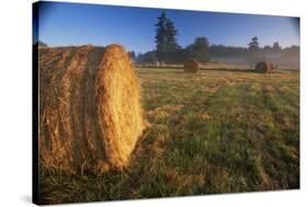 Rural Landscape, San Juan Island, San Juan Islands, Washington State, USA-Colin Brynn-Stretched Canvas