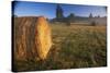 Rural Landscape, San Juan Island, San Juan Islands, Washington State, USA-Colin Brynn-Stretched Canvas