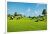 Rural Landscape with a Herd of Cows Grazing on the Green Hills Nearby from the Rustic House. Realis-DMG Vision-Framed Art Print