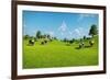 Rural Landscape with a Herd of Cows Grazing on the Green Hills Nearby from the Rustic House. Realis-DMG Vision-Framed Art Print