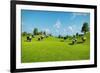 Rural Landscape with a Herd of Cows Grazing on the Green Hills Nearby from the Rustic House. Realis-DMG Vision-Framed Art Print