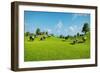 Rural Landscape with a Herd of Cows Grazing on the Green Hills Nearby from the Rustic House. Realis-DMG Vision-Framed Art Print