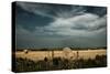 Rural Landscape with Dramatic Sky over Farmland-null-Stretched Canvas