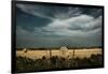 Rural Landscape with Dramatic Sky over Farmland-null-Framed Photographic Print