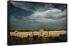 Rural Landscape with Dramatic Sky over Farmland-null-Framed Stretched Canvas
