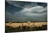 Rural Landscape with Dramatic Sky over Farmland-null-Stretched Canvas