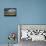 Rural Landscape with Dramatic Sky over Farmland-null-Photographic Print displayed on a wall