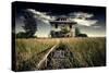 Rural Landscape with Dramatic Sky-null-Stretched Canvas