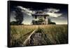 Rural Landscape with Dramatic Sky-null-Framed Stretched Canvas