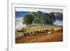 Rural landscape with flock of sheep in Dumesti, Apuseni mountains, Romania, Europe-Nagy Melinda-Framed Photographic Print