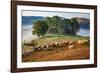 Rural landscape with flock of sheep in Dumesti, Apuseni mountains, Romania, Europe-Nagy Melinda-Framed Photographic Print