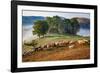 Rural landscape with flock of sheep in Dumesti, Apuseni mountains, Romania, Europe-Nagy Melinda-Framed Photographic Print