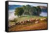 Rural landscape with flock of sheep in Dumesti, Apuseni mountains, Romania, Europe-Nagy Melinda-Framed Stretched Canvas