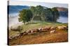 Rural landscape with flock of sheep in Dumesti, Apuseni mountains, Romania, Europe-Nagy Melinda-Stretched Canvas