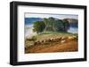 Rural landscape with flock of sheep in Dumesti, Apuseni mountains, Romania, Europe-Nagy Melinda-Framed Photographic Print