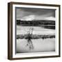 Rural Landscape with Lake-Craig Roberts-Framed Photographic Print