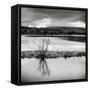 Rural Landscape with Lake-Craig Roberts-Framed Stretched Canvas