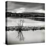 Rural Landscape with Lake-Craig Roberts-Stretched Canvas