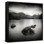 Rural Landscape with Lake-Craig Roberts-Framed Stretched Canvas