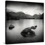 Rural Landscape with Lake-Craig Roberts-Stretched Canvas