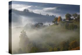 Rural Landscape with Morning Mist Near Zarnesti, Transylvania, Carpathian Mountains, Romania-Dörr-Stretched Canvas