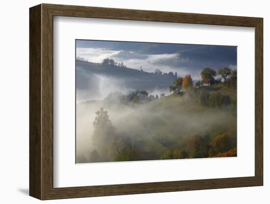 Rural Landscape with Morning Mist Near Zarnesti, Transylvania, Carpathian Mountains, Romania-Dörr-Framed Photographic Print