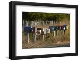 Rural Letterboxes, Otago Peninsula, Dunedin, South Island, New Zealand-David Wall-Framed Photographic Print