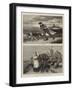 Rural Life in Holland, II-null-Framed Giclee Print