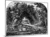 Rural Life in Western Canada, 19th Century-null-Mounted Giclee Print